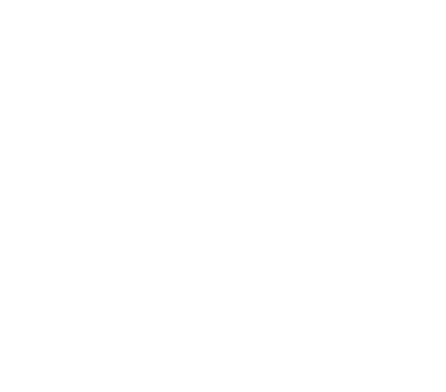 logo light